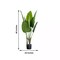 2 Green 3 feet Bird of Paradise ARTIFICIAL PLANTS Planter Pots Home Decorations